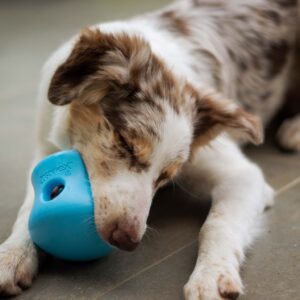 Food allergy – causes, diagnosis, methods of treatment