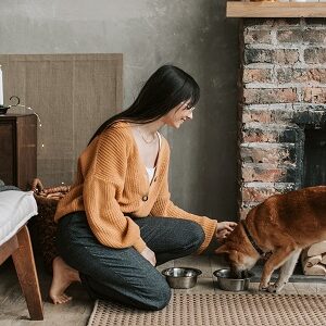 Online and phone dietary consultations for dogs