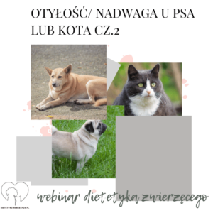 Overweight and obesity in dogs and cats part 2