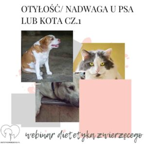 Overweight and obesity in dogs and cats part 1