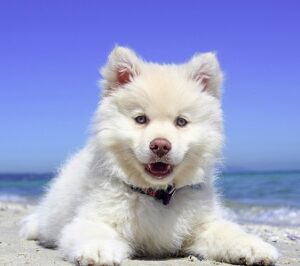 Portal access – one-time payment