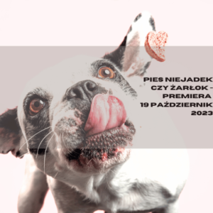 A fussy eater and a glutton dog – what to do?